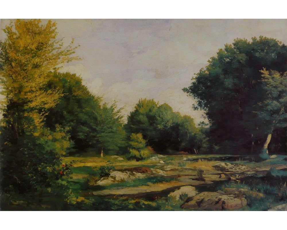 Clearing in the Woods