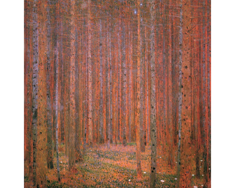 Fir Forest I
