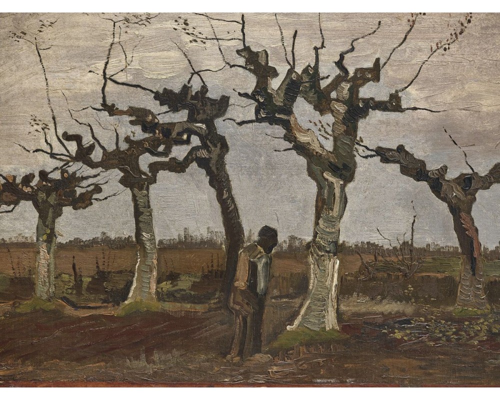 Landscape with Pollard Willows