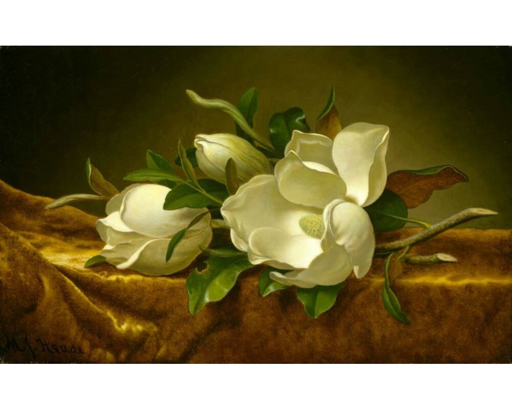 Magnolias on Gold Velvet Cloth