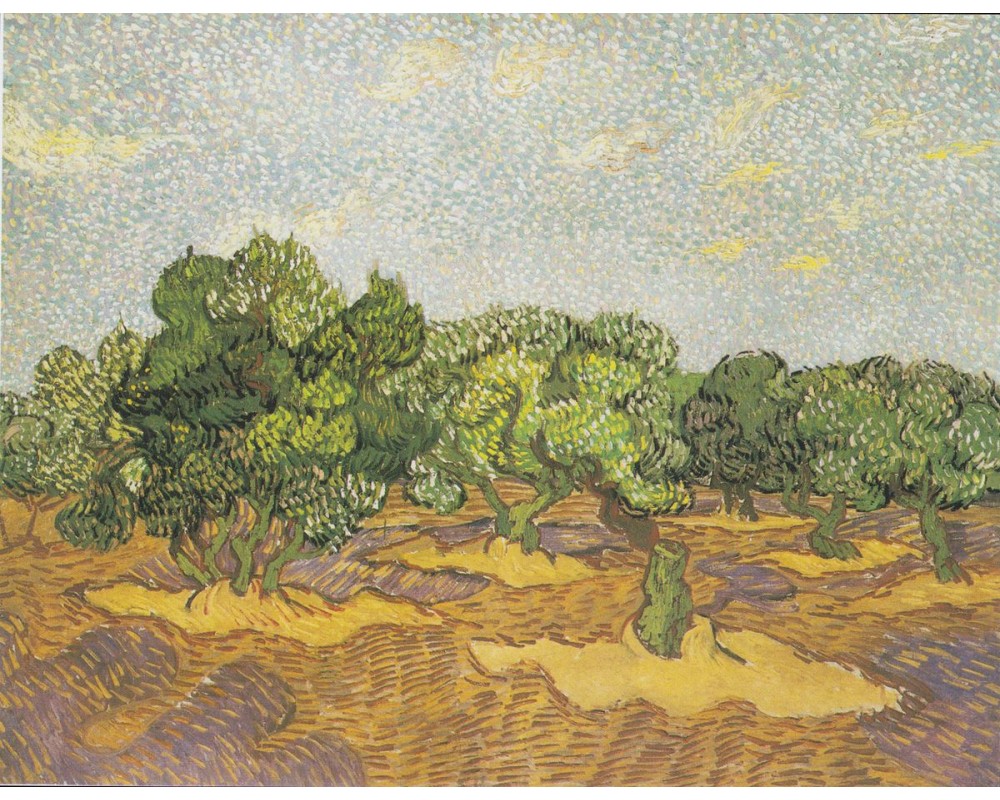 Olive Orchard November, 1889