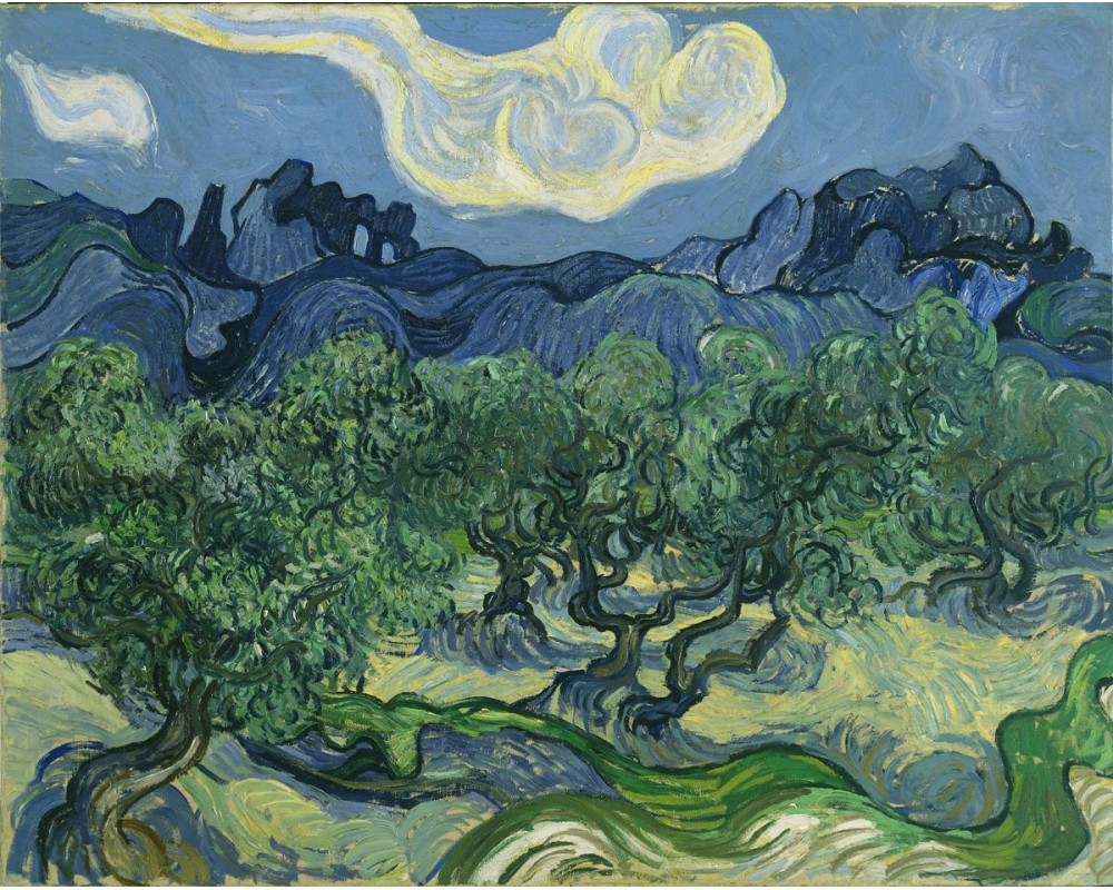 Olive Trees with the Alpilles in the Background