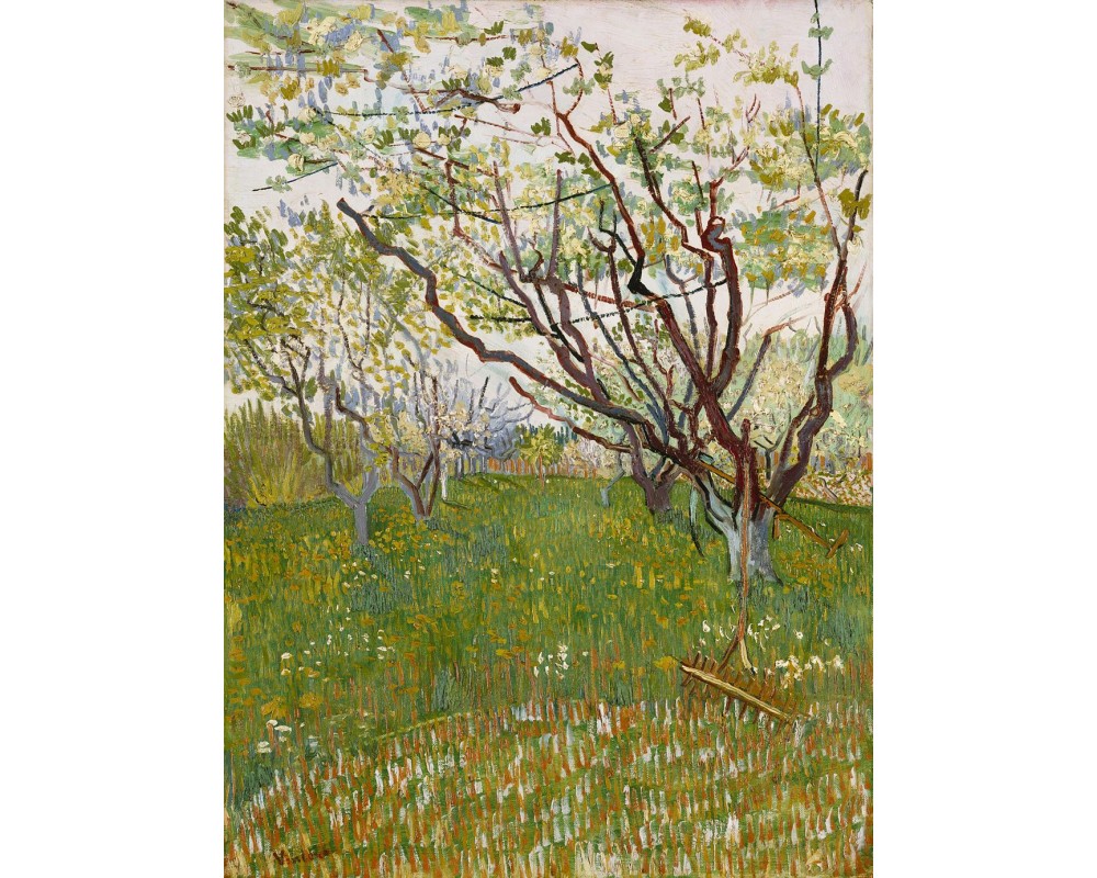 Orchard in Blossom