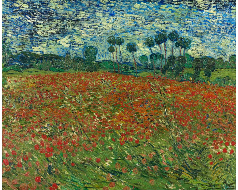 Poppy Field