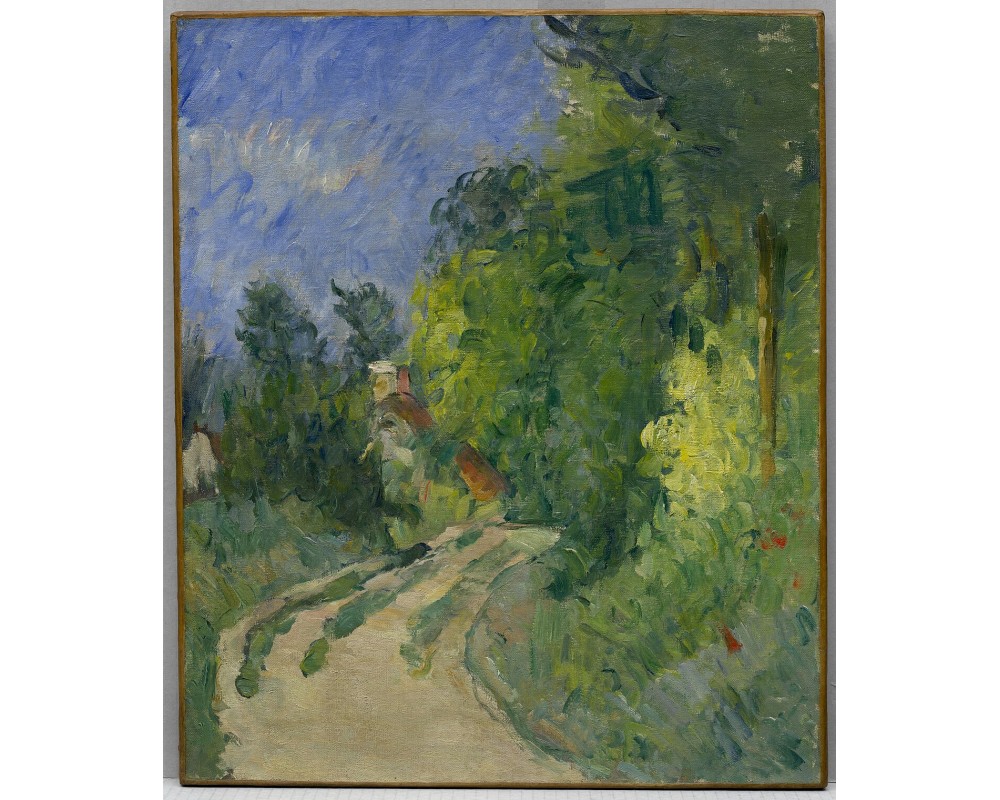 Road in a Forest