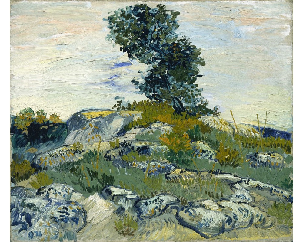 Rocks with Oak Tree