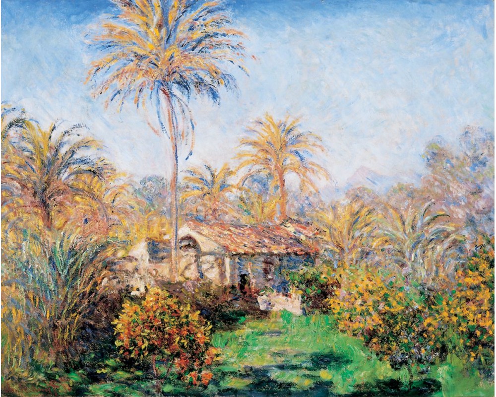 Small Country Farm in Bordighera
