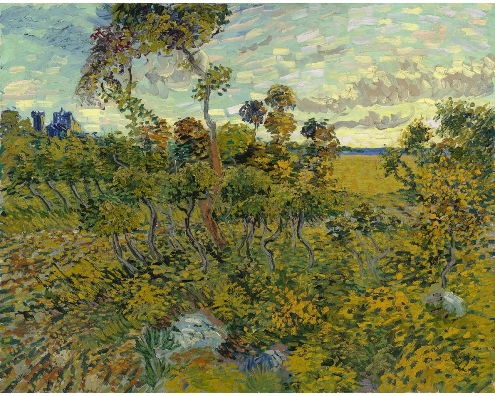 Sunset at Montmajour