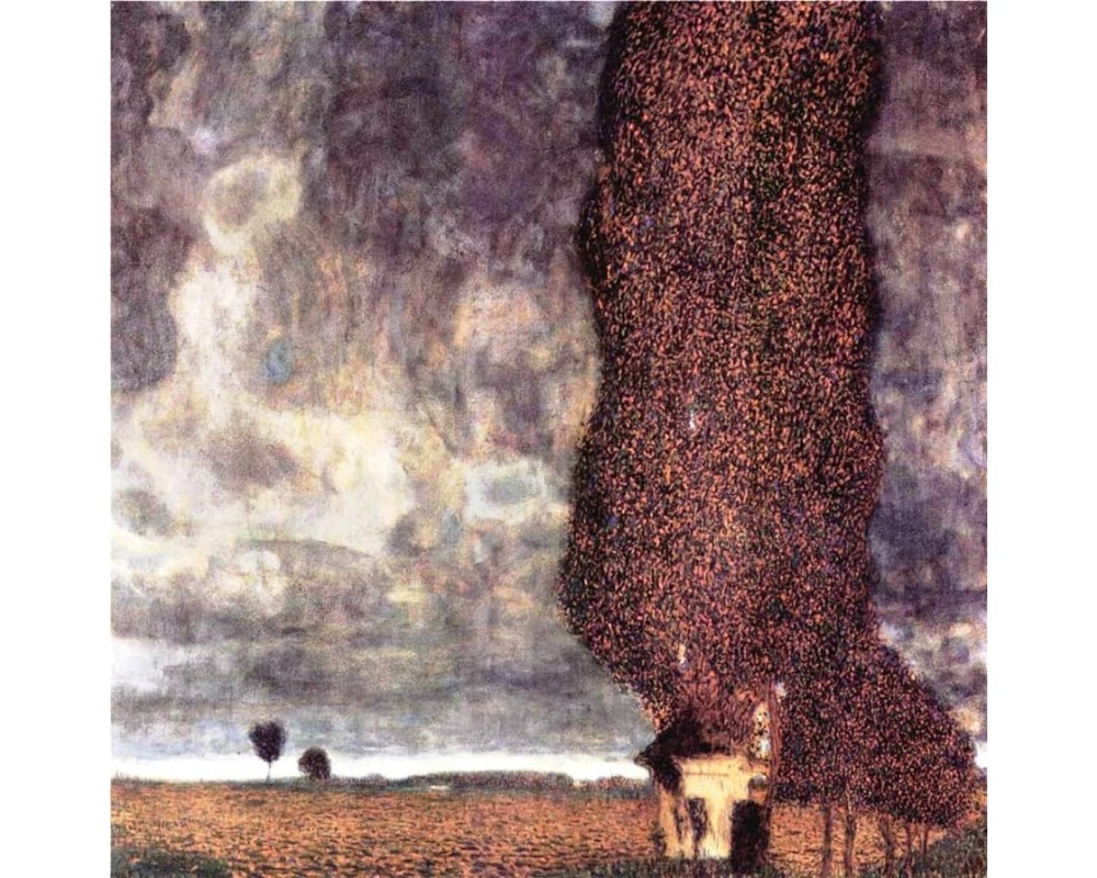 The Big Poplar II