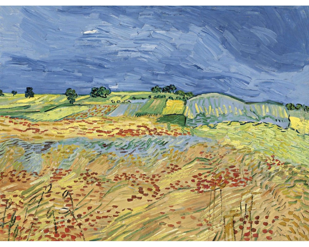 The Fields