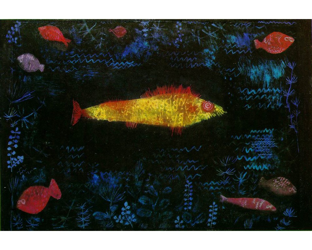 The Goldfish