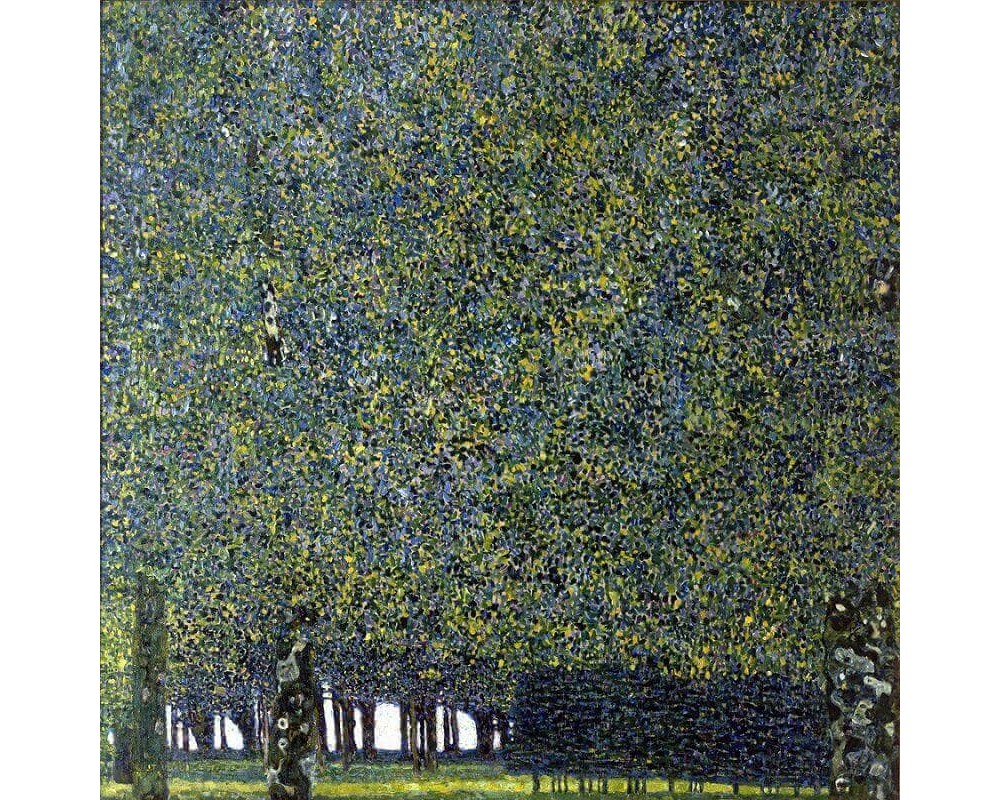 The Park