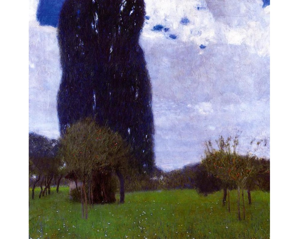 The Tall Poplar Trees II