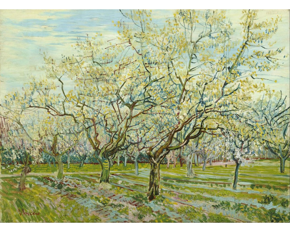 The White Orchard