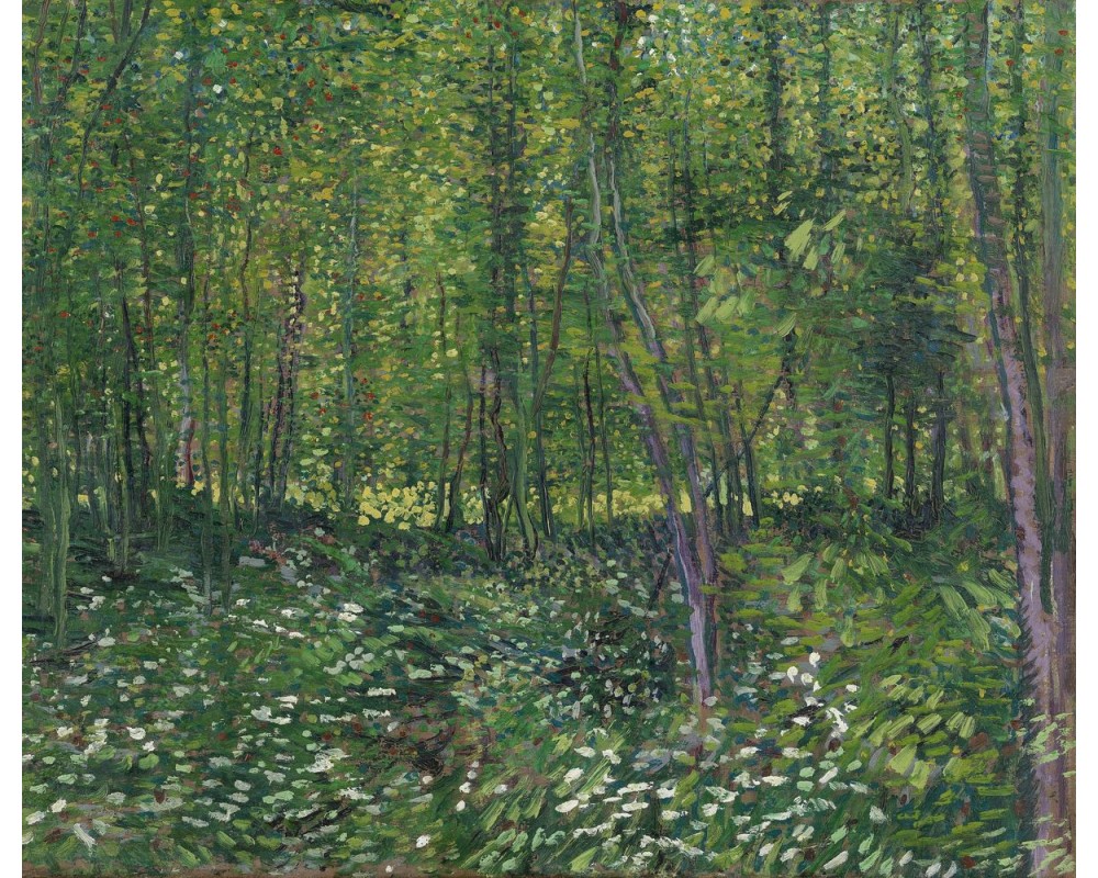 Trees and Undergrowth