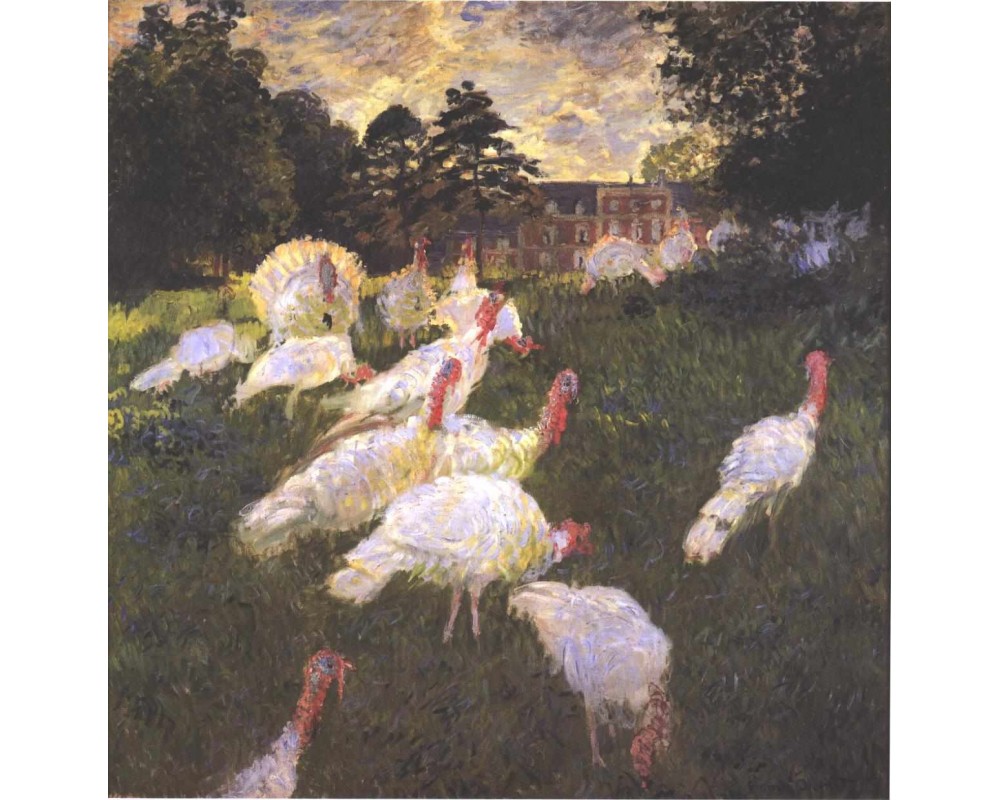 Turkeys
