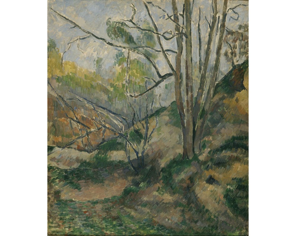 Undergrowth