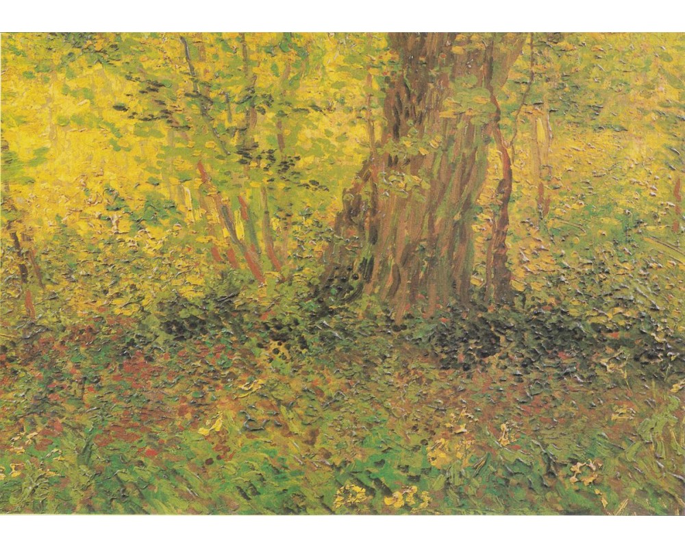 Undergrowth