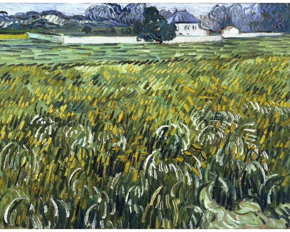 Wheat Field at Auvers with White House