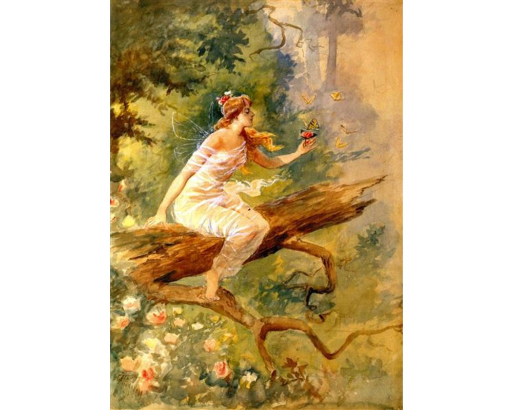 Wood Nymph